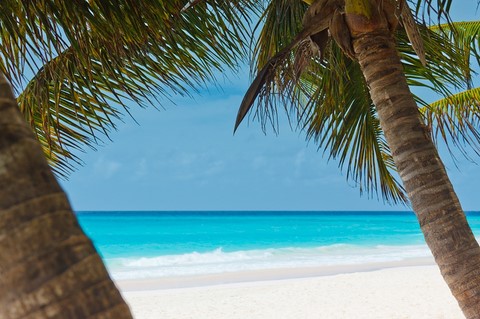PLAYAS DOMINICANA
