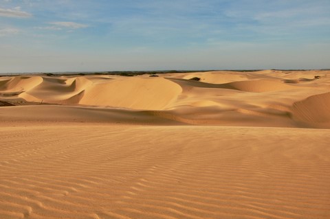 DESIERTO VENEZOLANO